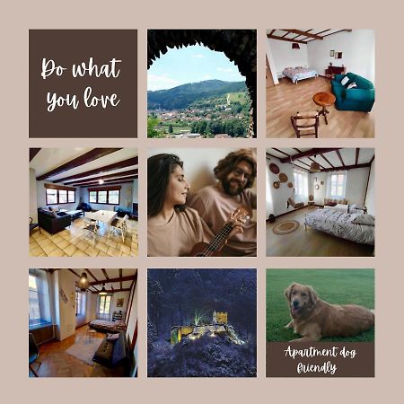 Gite Chez Lulu Proche Du Chateau De Schirmeck Apartment ภายนอก รูปภาพ