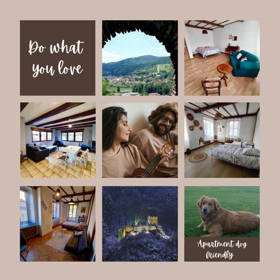 Gite Chez Lulu Proche Du Chateau De Schirmeck Apartment ภายนอก รูปภาพ